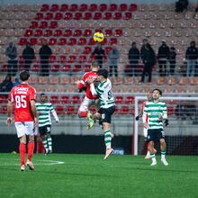 <![CDATA[ Sporting B-Benfica B, em direto ]]>