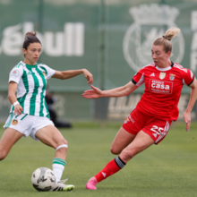 <![CDATA[ Contas finais da Liga BPI: Benfica termina invicto e leva Rio Ave ao playoff ]]>