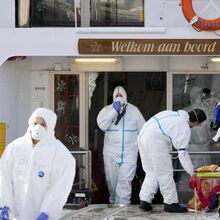 <![CDATA[ «Pesadelo dos cruzeiros»: o que é o norovírus que já infetou 100 pessoas nas Bahamas? ]]>