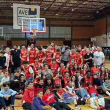 <![CDATA[ Barreirense e Galitos Aveiro sobem à Proliga ]]>