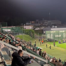 <![CDATA[ O momento em que os adeptos do Sporting festejam nas bancadas em Vila do Conde o segundo golo do Sp. Braga na Luz ]]>