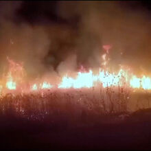 <![CDATA[ Colonos israelitas incendeiam terrenos agrícolas na Cisjordânia ]]>