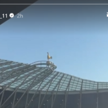 <![CDATA[ Sudakov foi a Londres ver o Tottenham salvar-se da descida ]]>