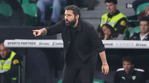 Gonçalo Feio, treinador do Tondela, durante o jogo com o Sporting