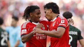 Plano mantém-se: miolo do Benfica intocável... mas Ríos em alerta