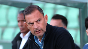 Sotiris Silaidopoulos, treinador do Rio Ave, durante o jogo com o Gil Vicente