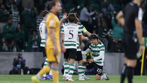 Maxi Araújo