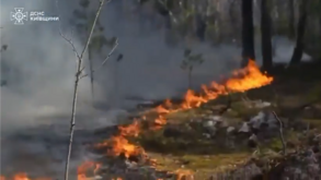 Incêndio florestal de grandes dimensões consome zona de exclusão de Chernobyl após queda de drone