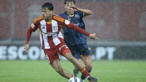 Pedro Lima no AVS SAD-FC Porto
