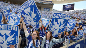 Adeptos do FC Porto em festa