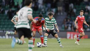 Maxi Araújo