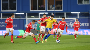 Benfica vence Estoril na Amoreira na última jornada da Liga Portugal Betclic 25/26