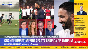 Bernardo Ribeiro: «Vejo Marco Silva com mais capacidade para se adaptar ao que há no Benfica»