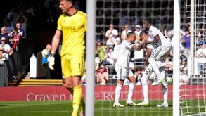 Celebração do Fulham após marcar contra o Newcastle em Craven Cottage