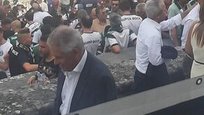 Luís Filipe Vieira no Jamor a assistir à final da Taça de Portugal
