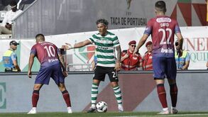 Maxi Araújo