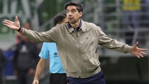 Abel Ferreira no Palmeiras