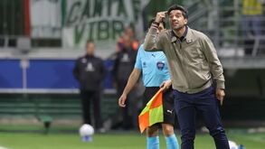 Abel Ferreira