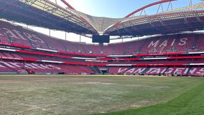 Assim ficou o relvado do Estádio da Luz depois dos concertos de Bad Bunny