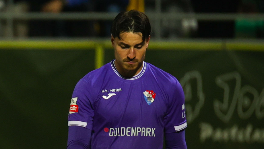 Dani Figueira