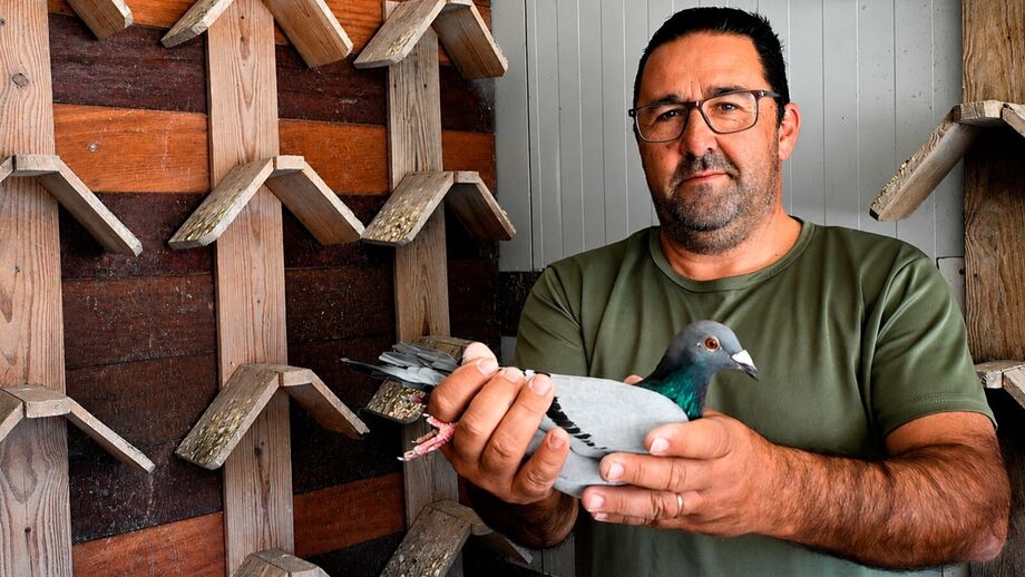Hélder Bugalho e a pomba 'Bugalha' 