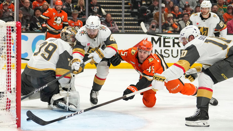 Mulheres impulsionam crescimento da NHL nos Playoffs da Taça Stanley