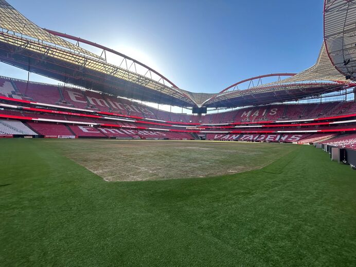 Relvado do Estádio da Luz depois dos concertos de Bad Bunny