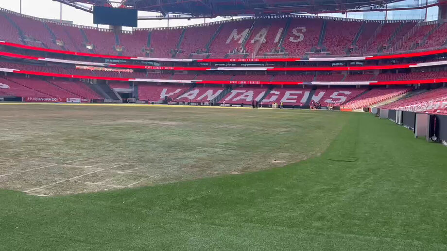 Substituição do tapete do Estádio da Luz: «Não haverá qualquer problema em ter o relvado pronto»