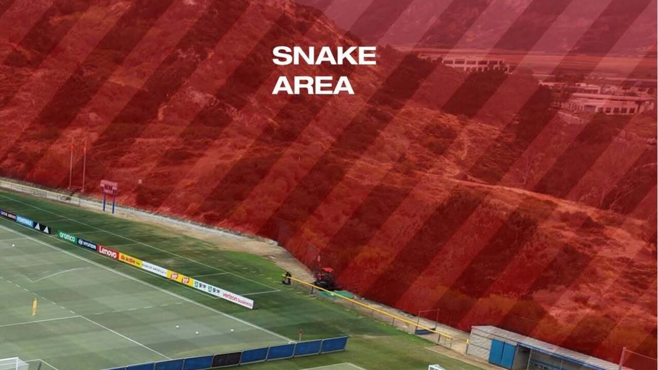 Seleção suíça identificou «zona de cobras» junto ao centro de treinos e partilhou nas redes sociais