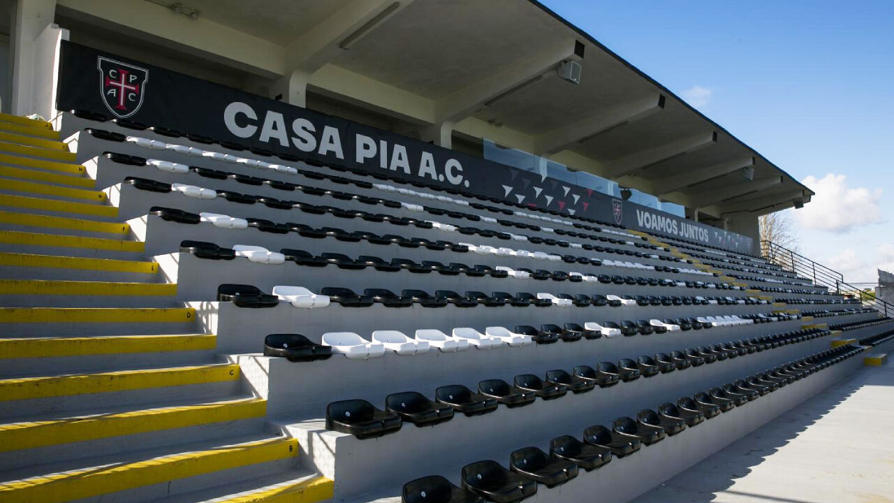 Gansos vão trabalhar em Pina Manique