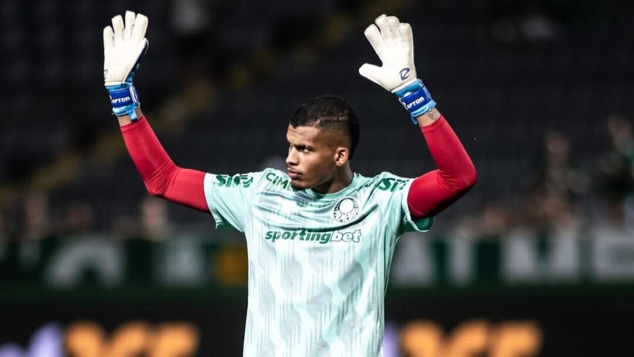 Aranha milita no Palmeiras