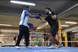 Boxe