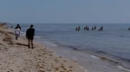 Jogadores da Seleção Nacional 'apanhados' na praia