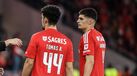 Tomás Araújo e António Silva são os únicos centrais de que o Benfica dispõe