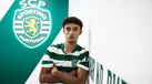 Salvador Fortuna de leão ao peito