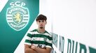 Martim Ribeiro de leão ao peito