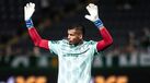 Aranha milita no Palmeiras