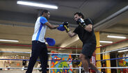 Boxe