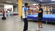 Boxe