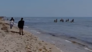 Jogadores da Seleção Nacional 'apanhados' na praia