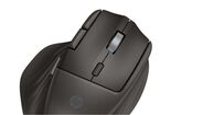 HP Ultra-Fast Scroll Wireless Mouse 780M