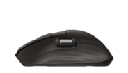 HP Ultra-Fast Scroll Wireless Mouse 780M