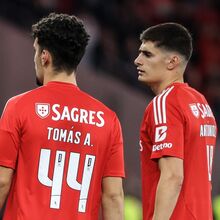 <![CDATA[ Paulo Madeira: «Benfica tem de ir ao mercado busca