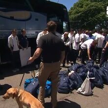 <![CDATA[ Surreal: seleção do Uzbequistão alvo de 