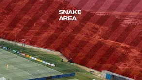 Seleção suíça partilhou nas redes sociais a imagem da «zona de cobras» junto ao centro de treinos