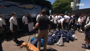 Surreal: seleção do Uzbequistão alvo de controlo de segurança que até envolveu cães antes do jogo com a Holanda