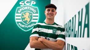 Miguel Almeida renova ligação aos leões
