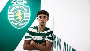Salvador Fortuna de leão ao peito