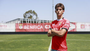 Tomás Pedrosa