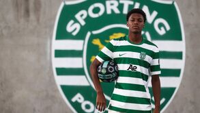 Henrique Tavares de leão ao peito